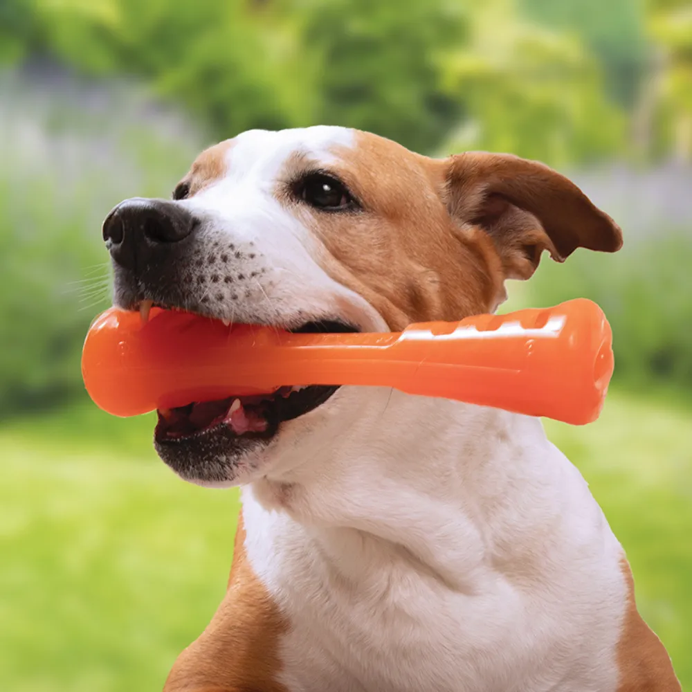 Bionic Urban Stick Dog Toy