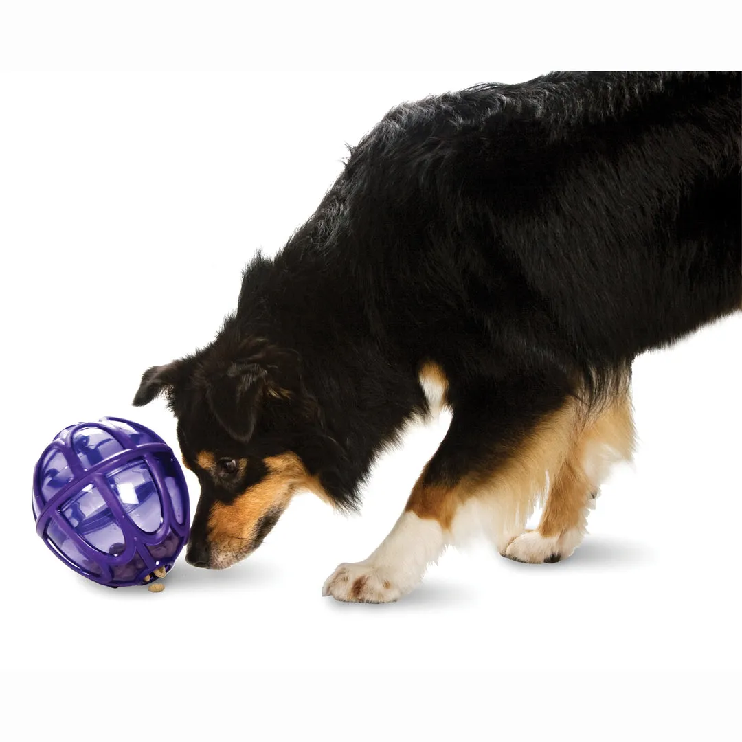 Busy Buddy® Kibble Nibble™ Feeder Ball