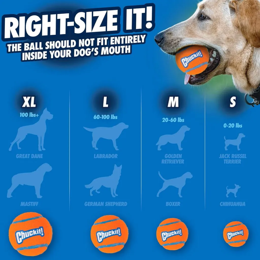 Chuckit! Ultra Ball Toy For Dogs- X-Large (1 pack)