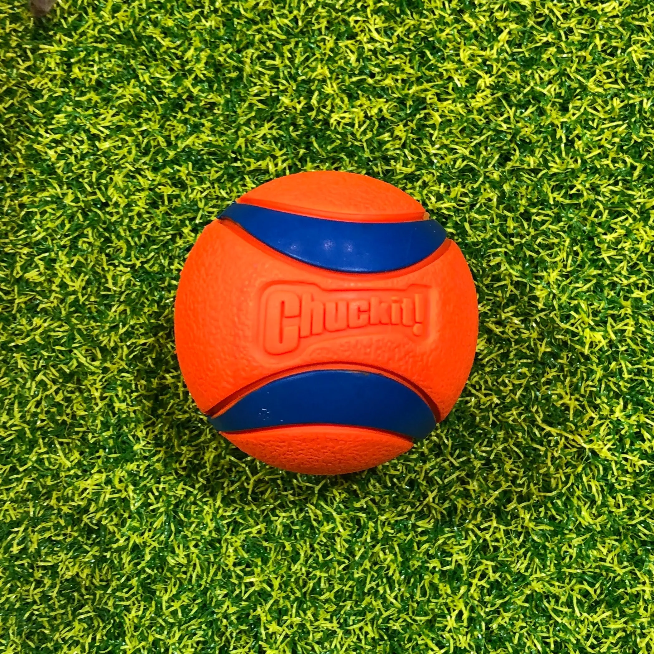 ChuckIt Ultra Ball