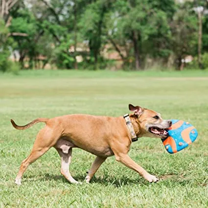 Chuckit - Whistle Flight Flyer - Dog Toy