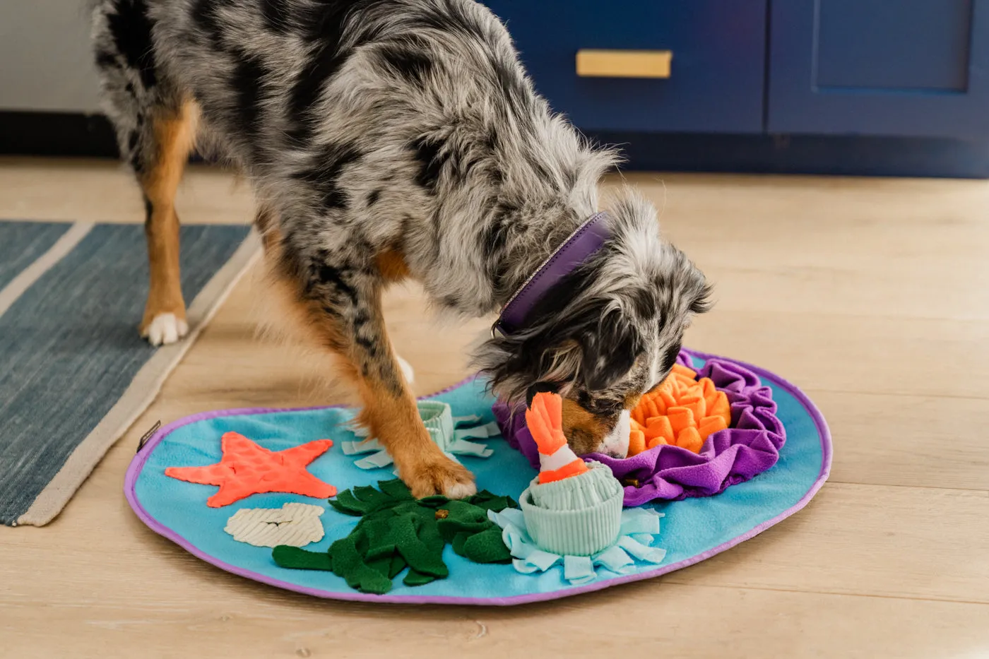 Coral Cove Snuffle Mat