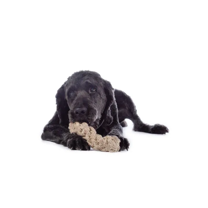 Dog Toy Buddy Knot Bone