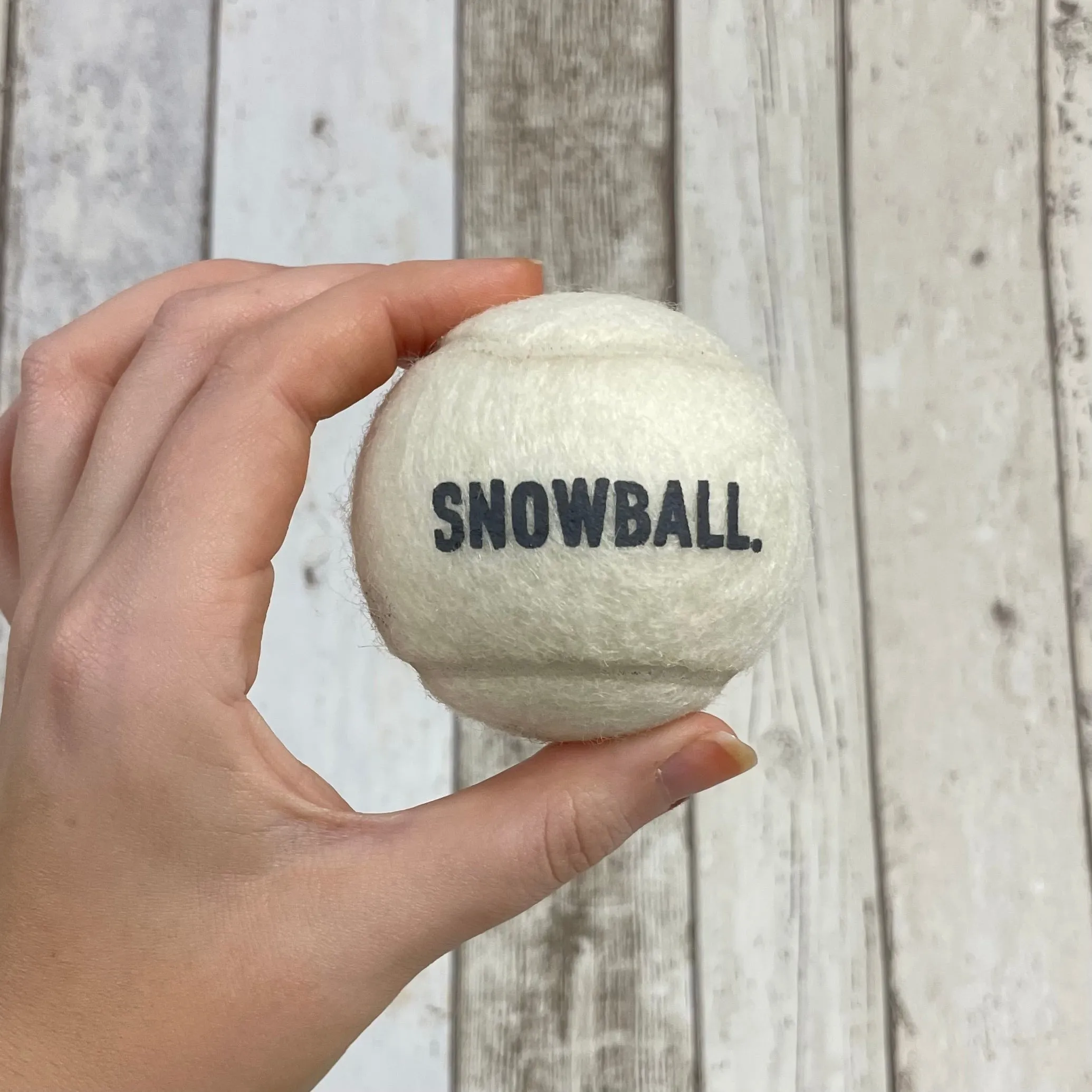 DOGHOUSE Snowball & Coal Tennis Balls