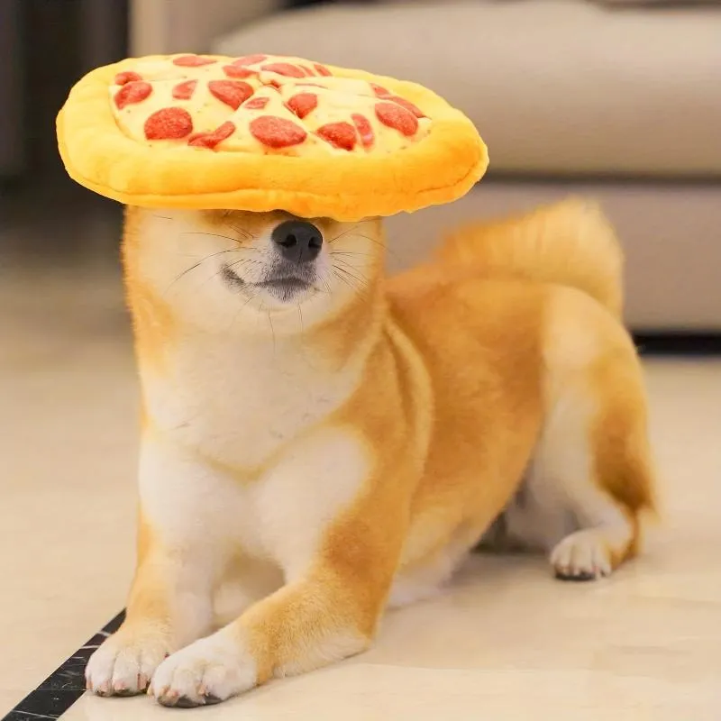 Durable Pizza Dog Chew Toy