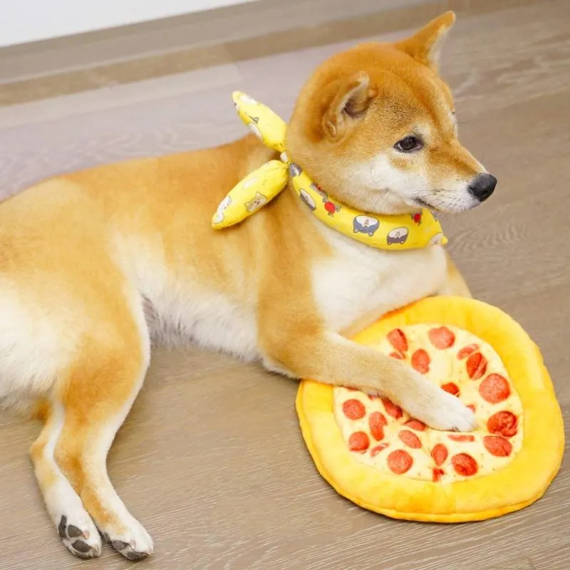 Durable Pizza Dog Chew Toy