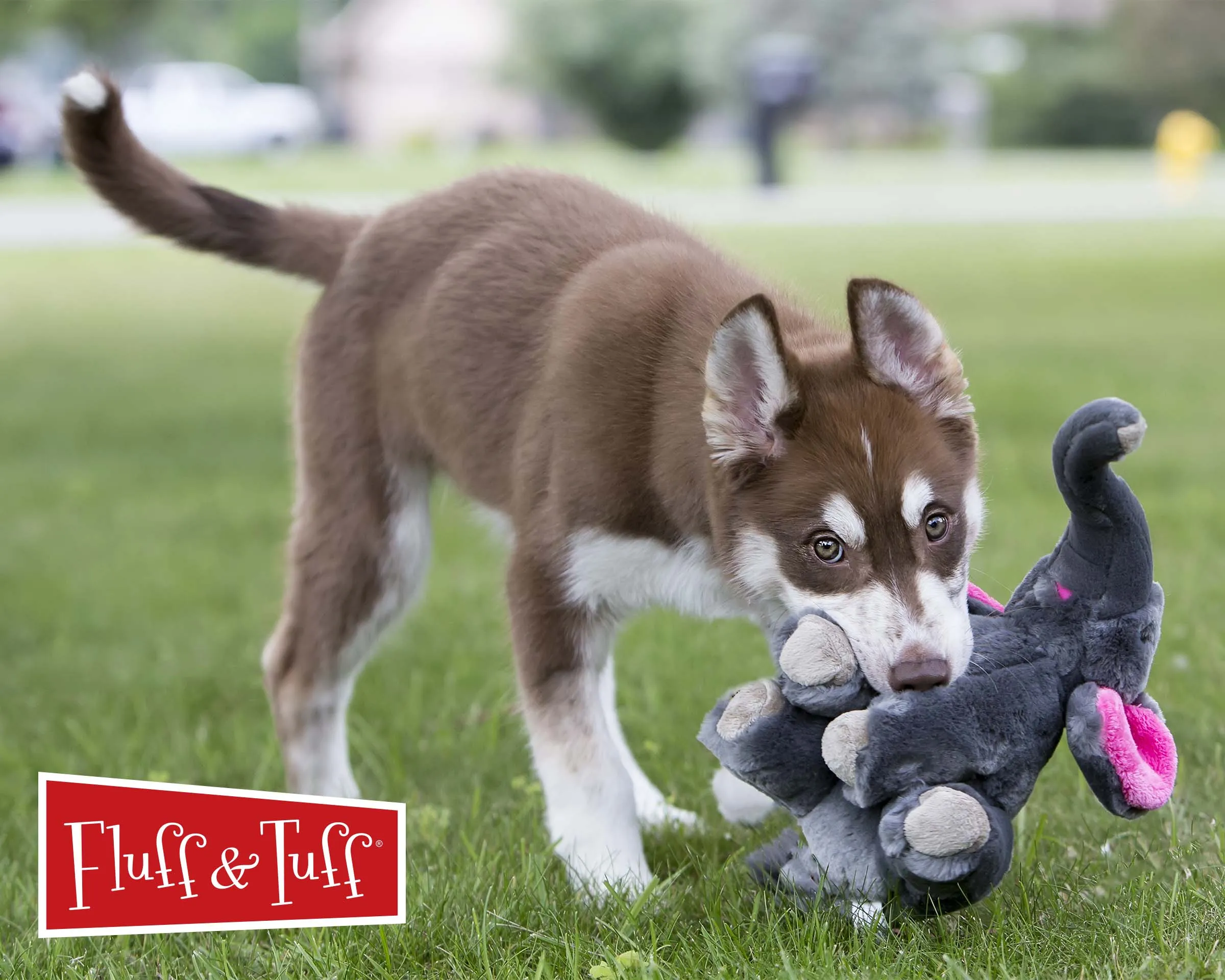 Fluff & Tuff Edsel Elephant Plush Dog Toy - Wholesale