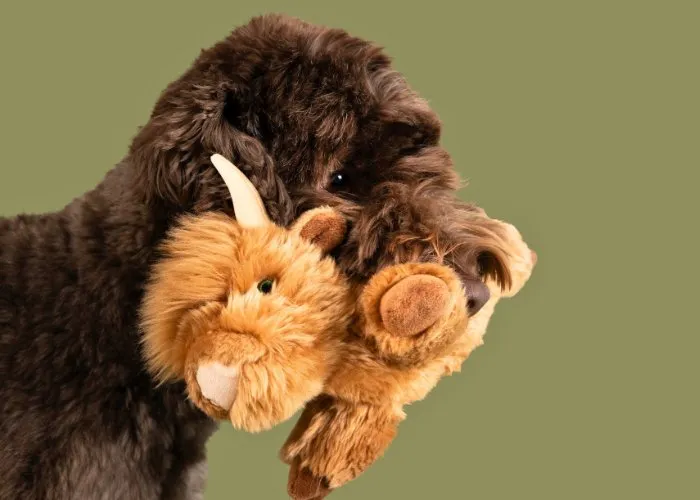 Fluff & Tuff Medium Plush Toys