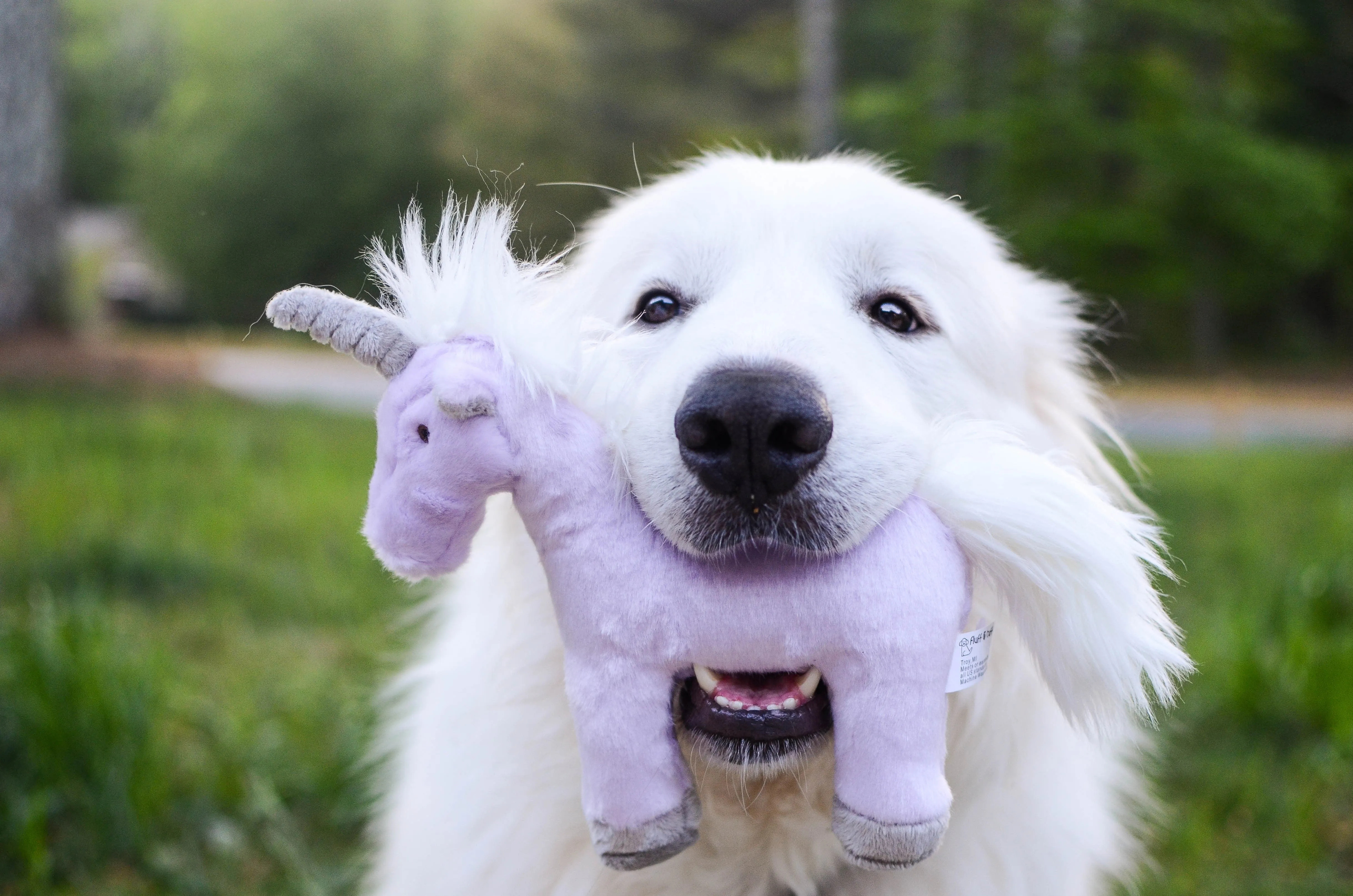 Fluff & Tuff Violet Unicorn Plush Dog Toy