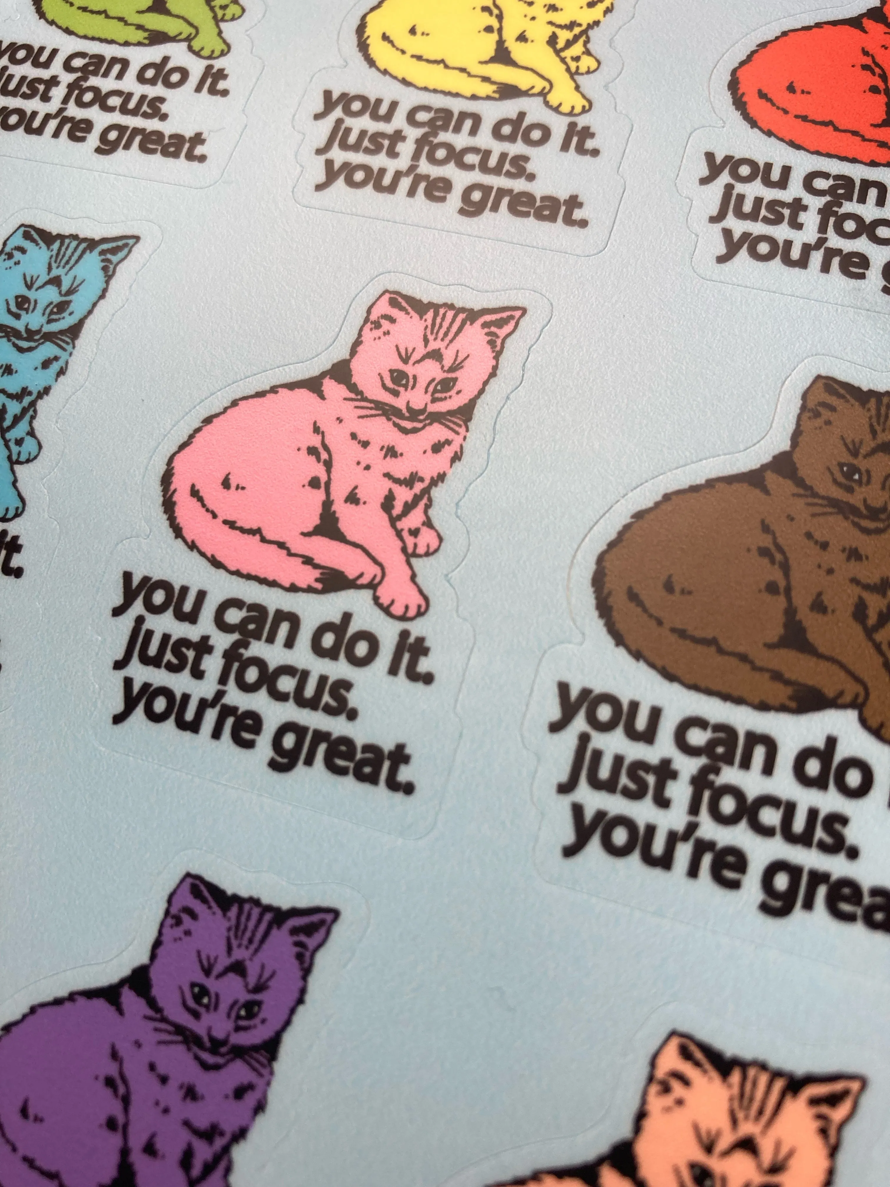 Focus Cat Sticker Sheet