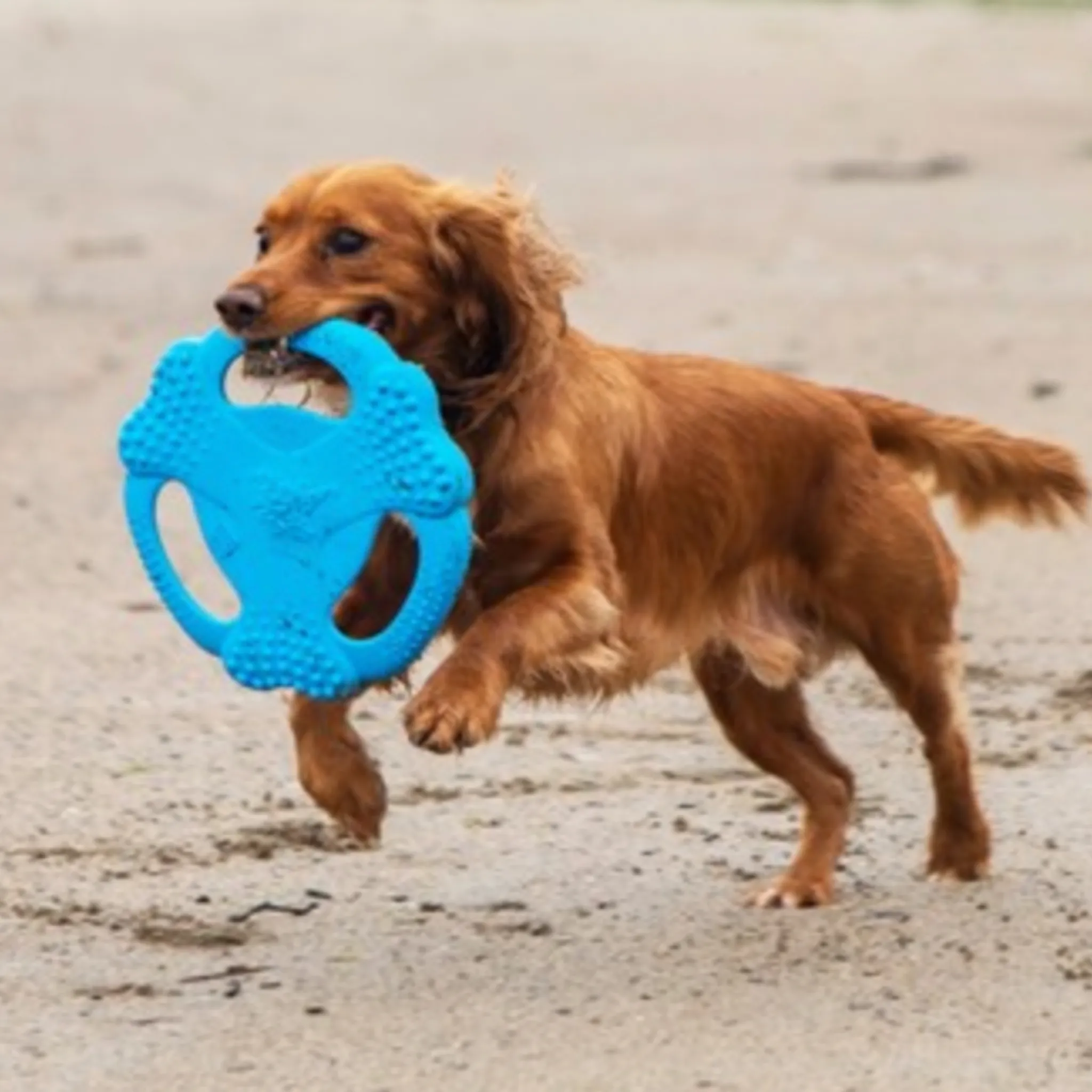 Gigwi Flying Tug Dog Toy Durable Interactive Frisbee