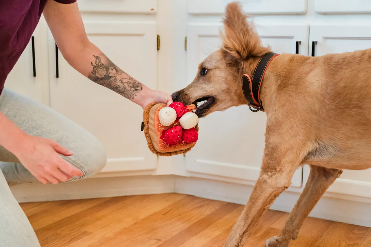 IHOP x P.L.A.Y. Squeaky Plush Dog toys, Thick 'N Fluffy French Toast