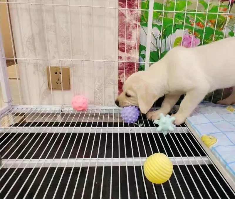 Interactive Squeaky Rubber Ball for Small Dogs