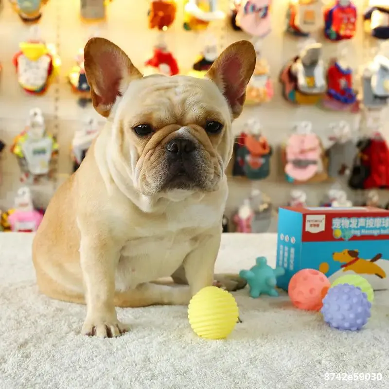 Interactive Squeaky Rubber Ball for Small Dogs