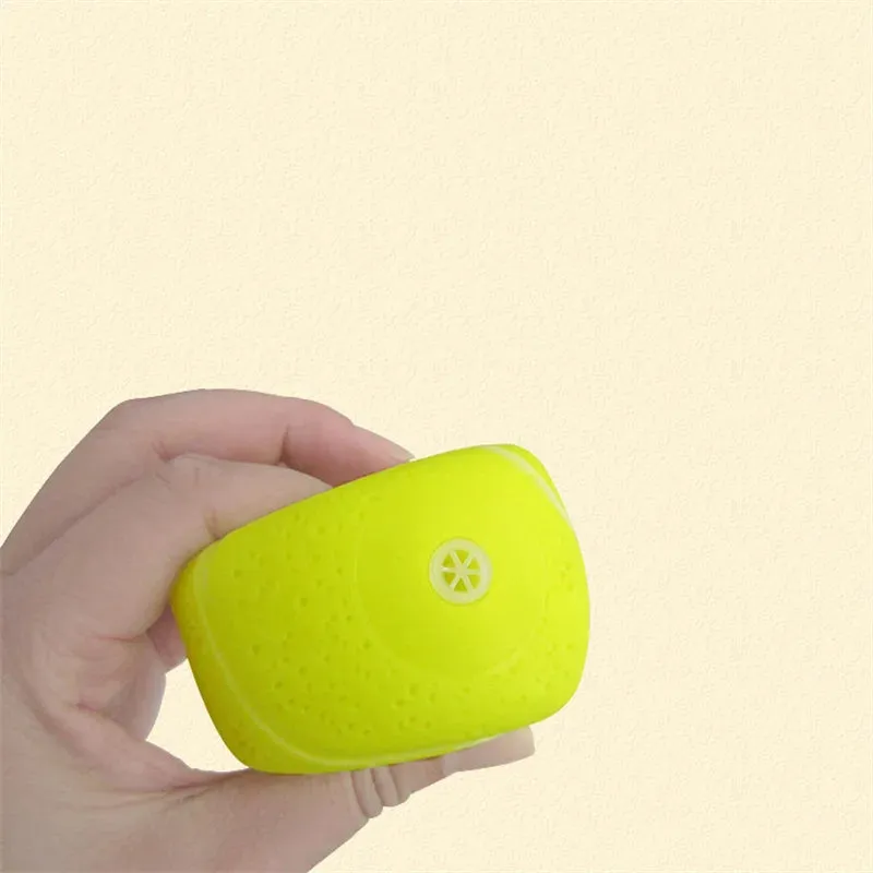 Interactive Squeaky Rubber Ball for Small Dogs