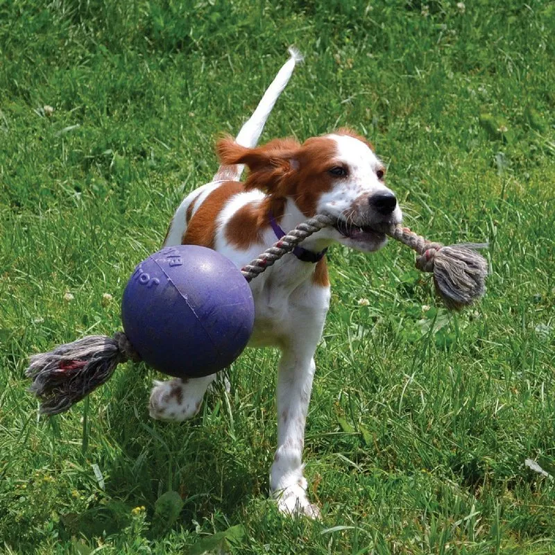 Jolly Pets Romp N Roll with Rope & Hard Plastic Ball Attached Fun Toy