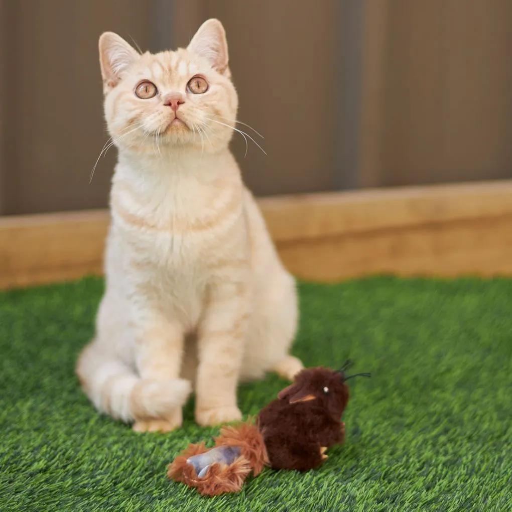 Kazoo Squishy Squirrel Cat Toy