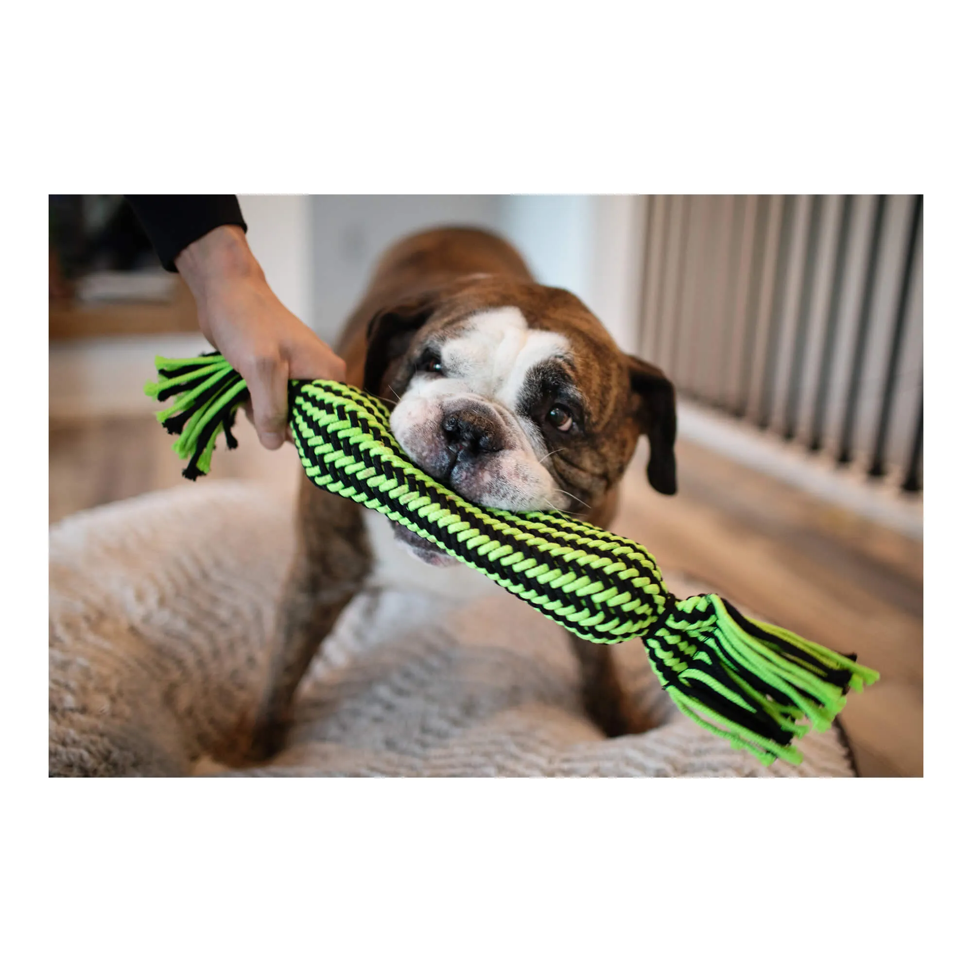 Knot-n-Chew Small/Medium, Tube Squeaker