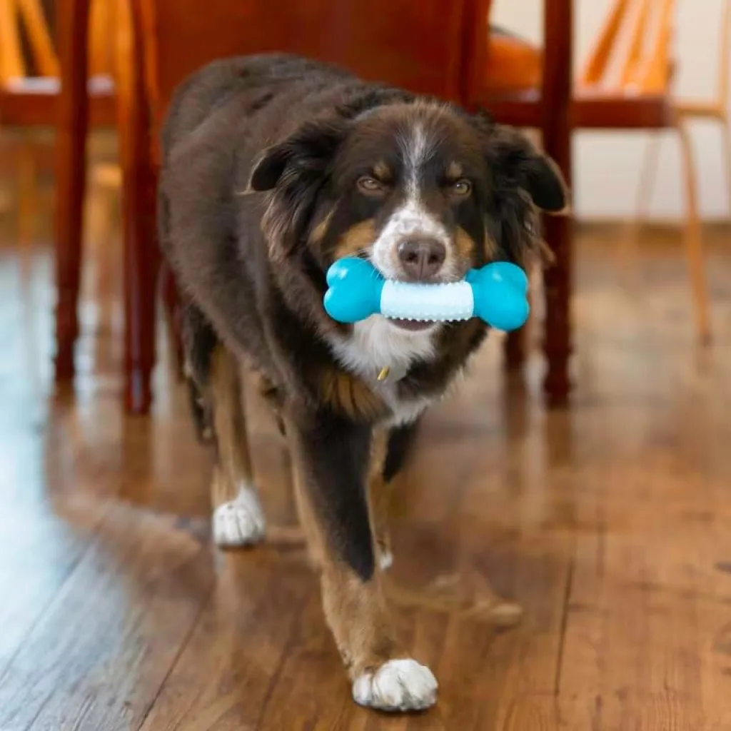 KONG Duets Dental Bone for Medium & Large Dogs