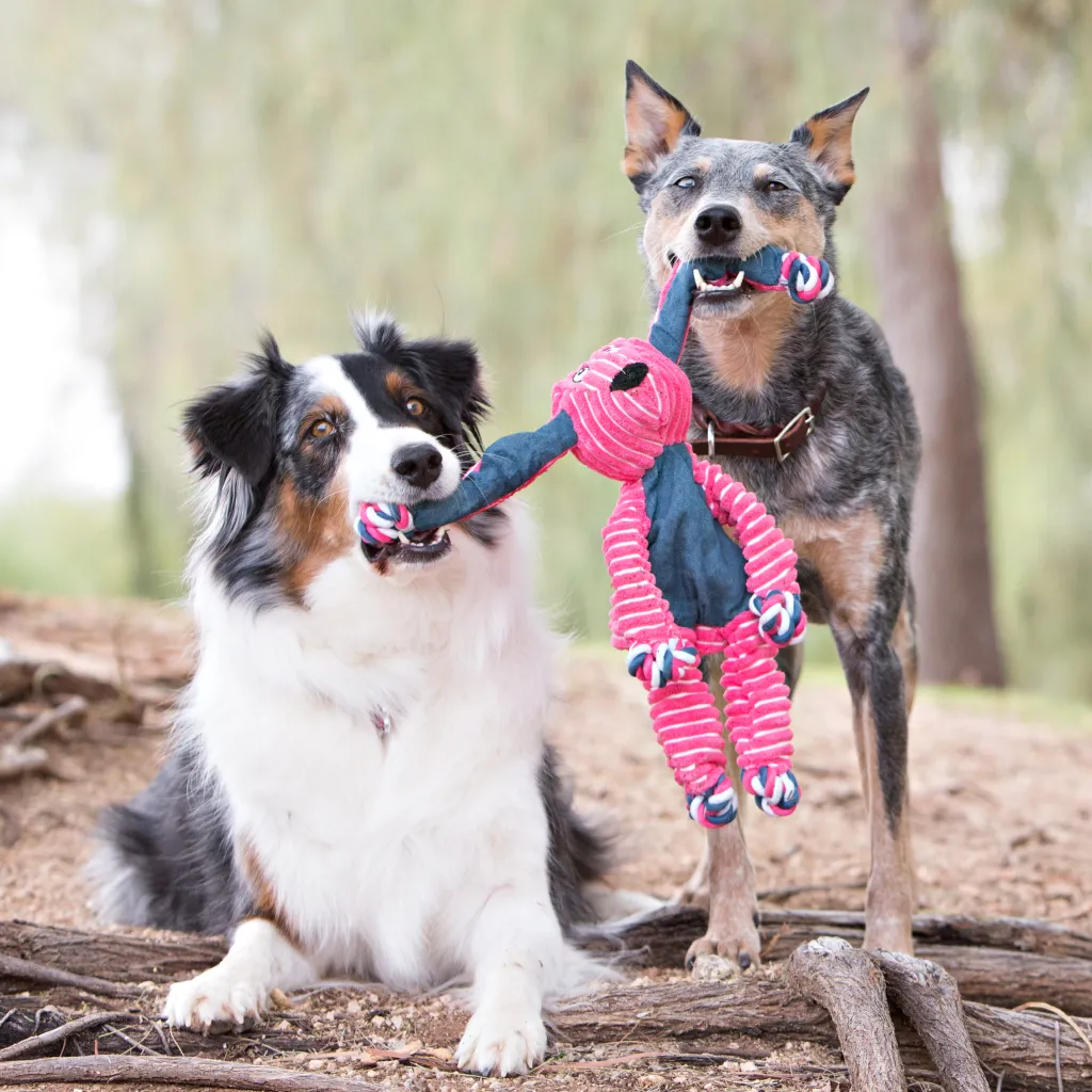 Kong Floppy Knots Hippo Dog Toy