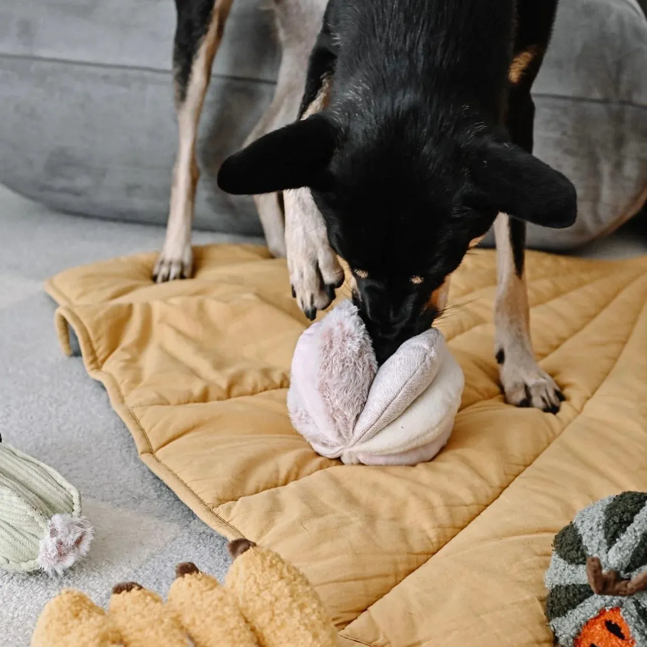 Lambwolf TOTO Squeaky Snuffle Ball