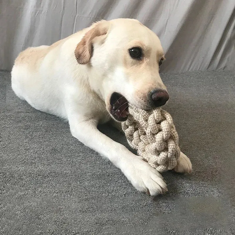 Multi-Purpose Chew Toy for Pets