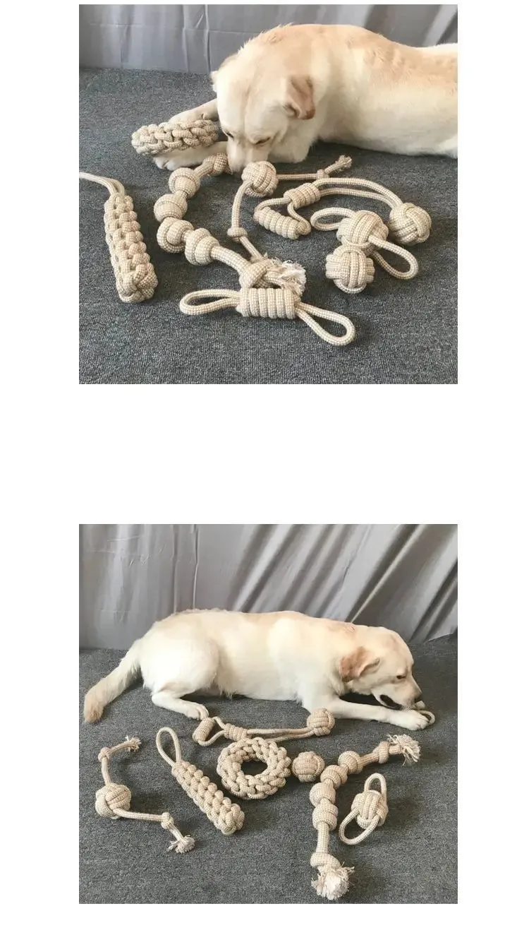 Multi-Purpose Chew Toy for Pets