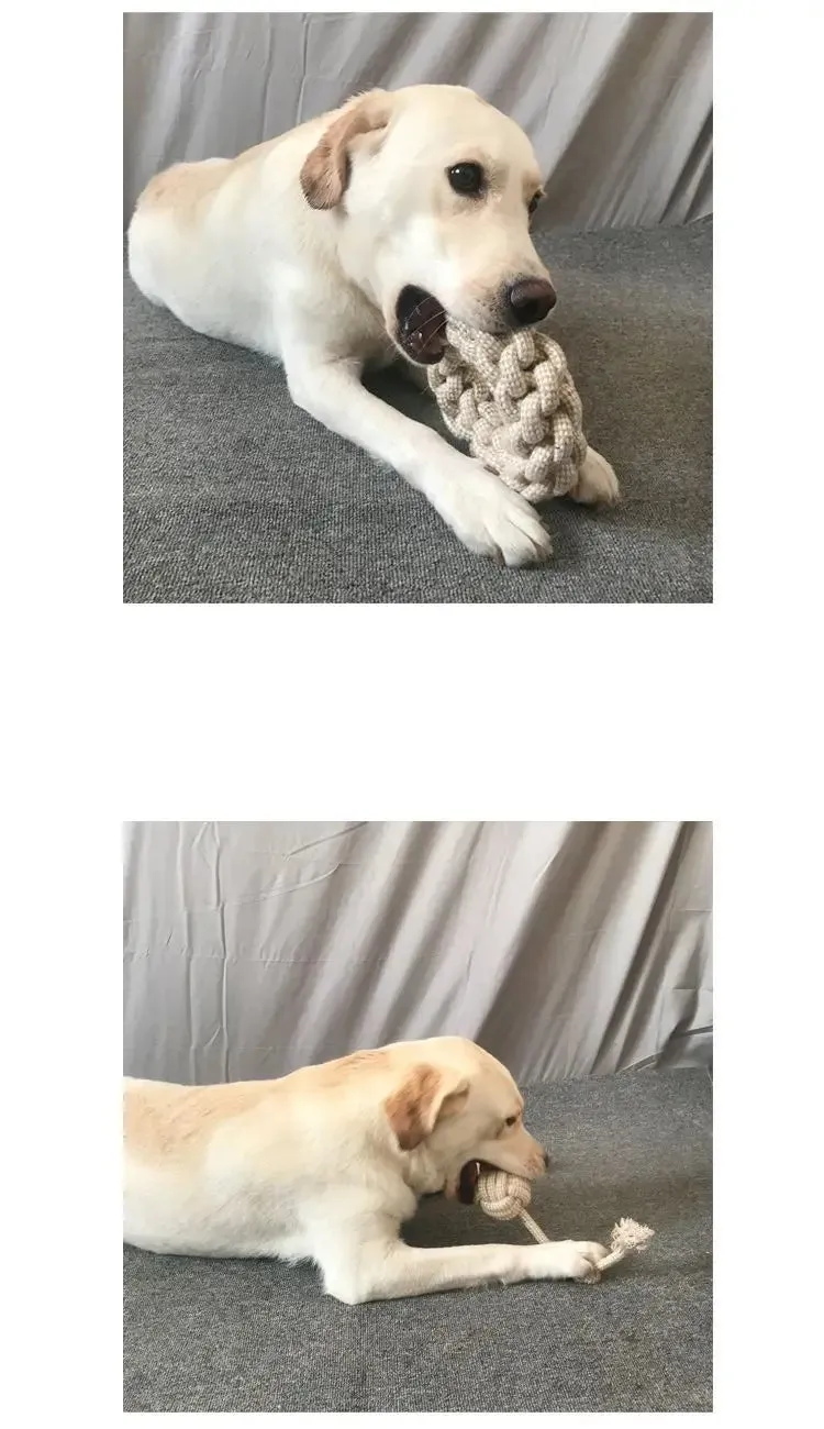 Multi-Purpose Chew Toy for Pets