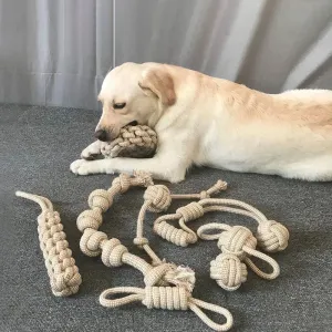 Multi-Purpose Chew Toy for Pets