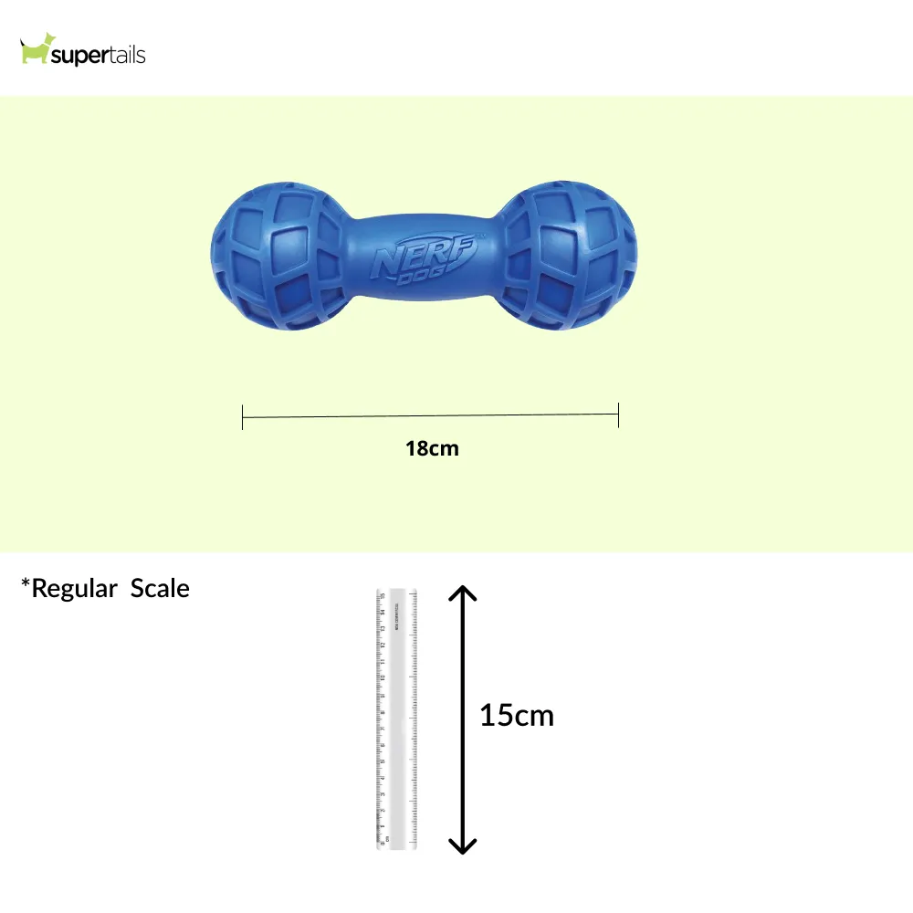 Nerf Bash EXO Micro Squeak Barbell Toy for Dogs (Blue/Green)