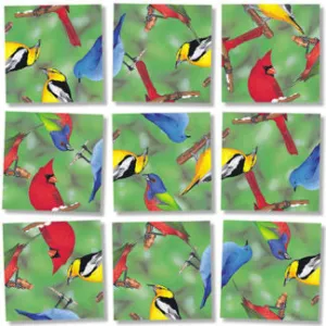 North American Birds Puzzle