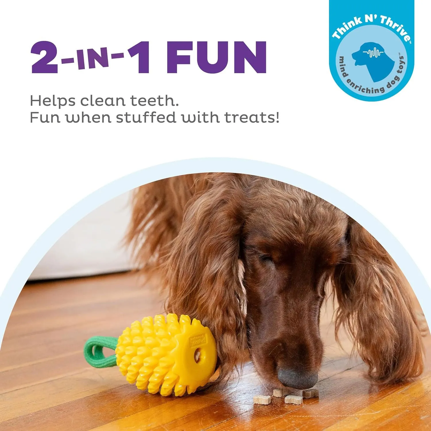 Outward Hound Pineapple Dental Chew Toy