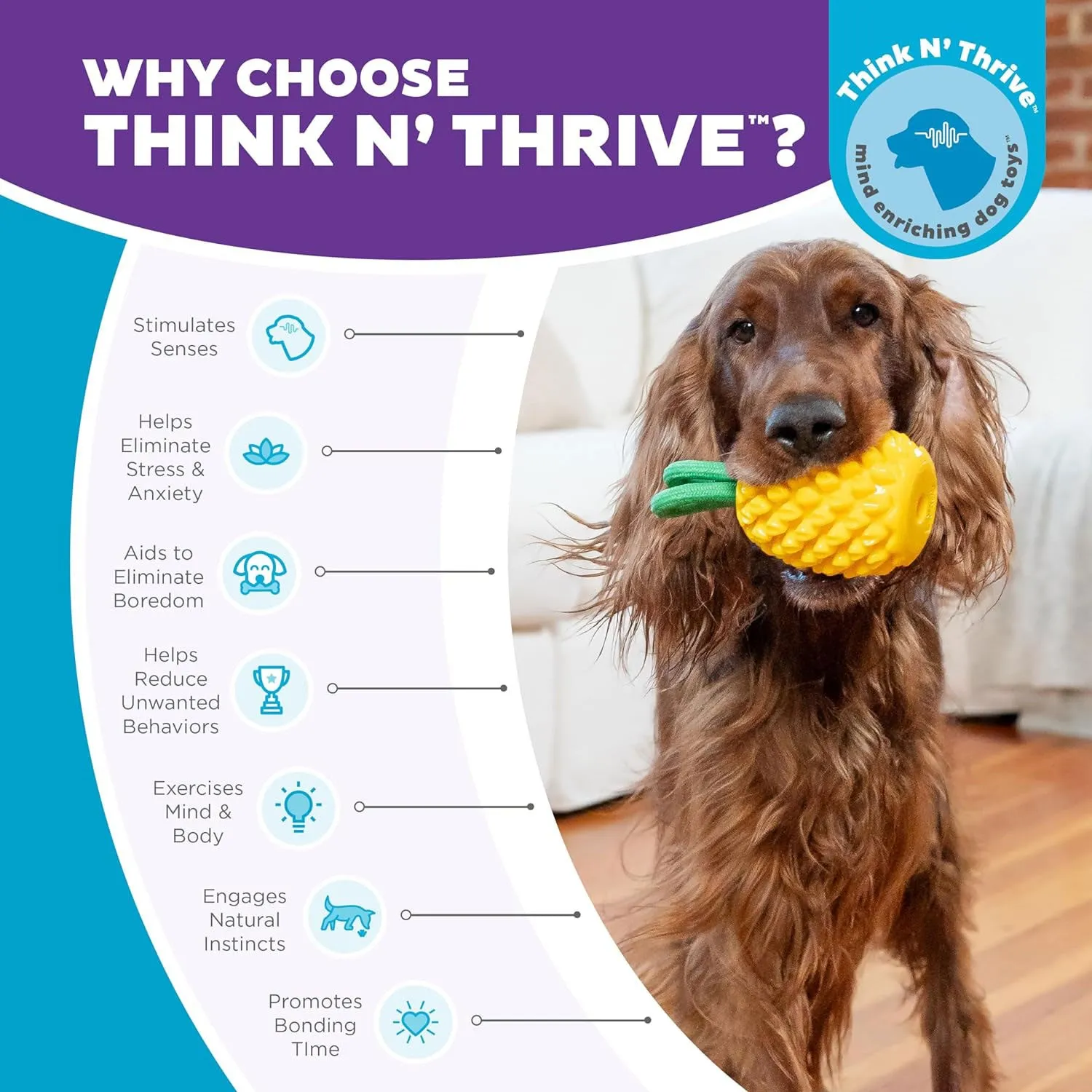 Outward Hound Pineapple Dental Chew Toy