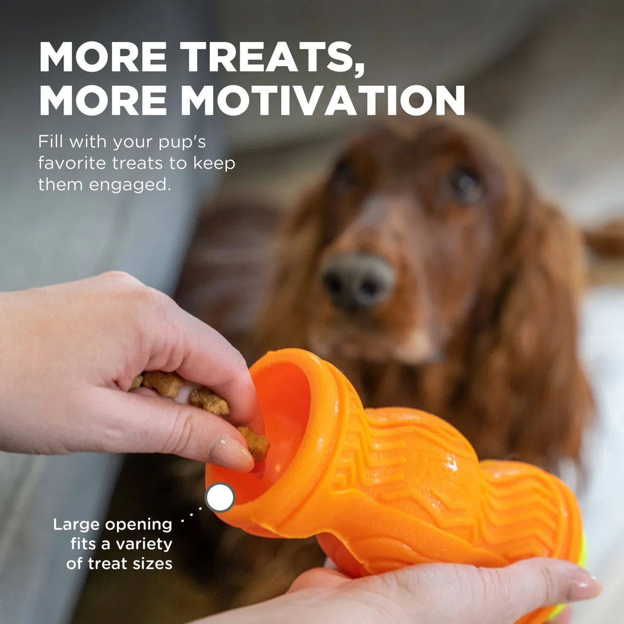 Outward Hound Tennis & Treat Toy