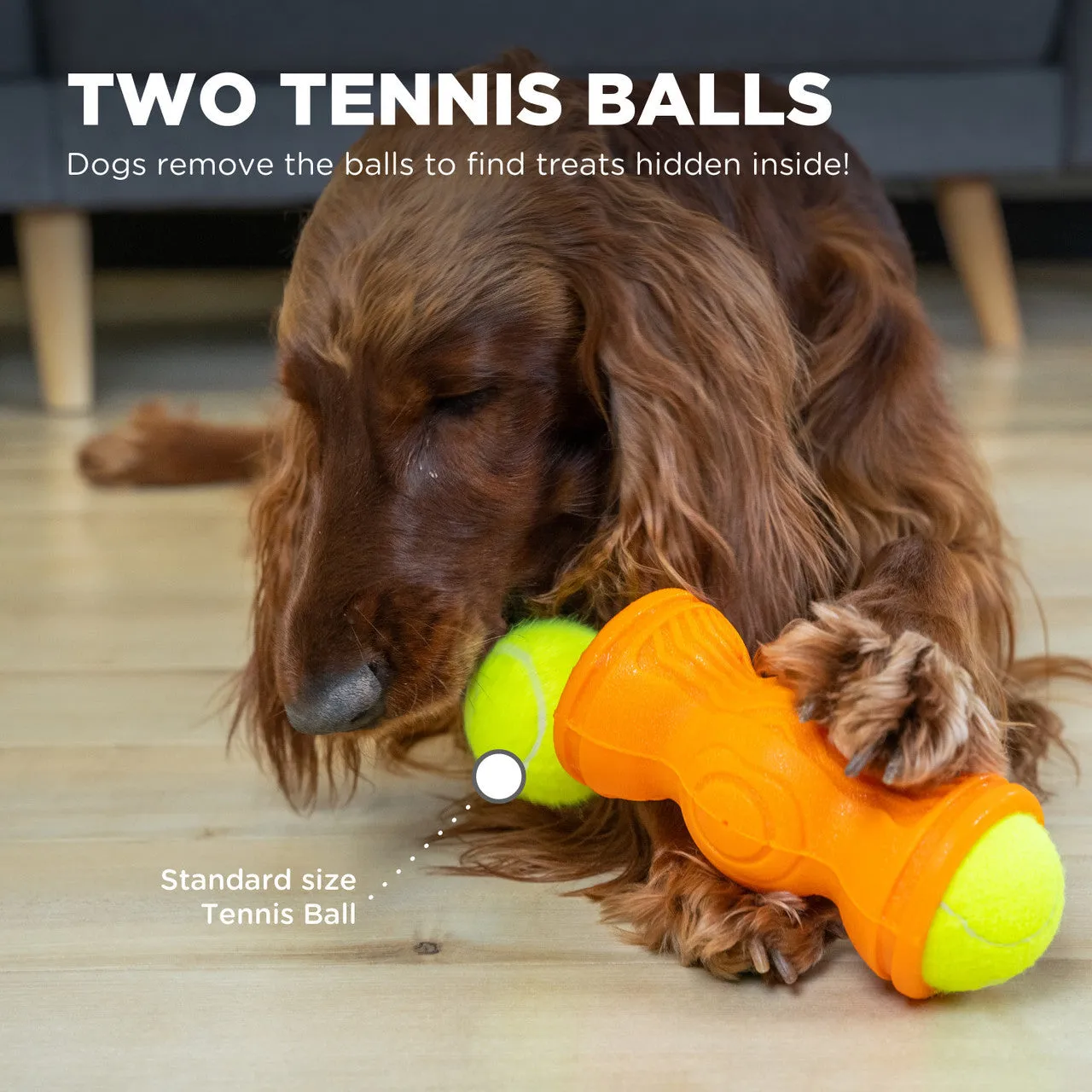 Outward Hound Tennis & Treat Toy