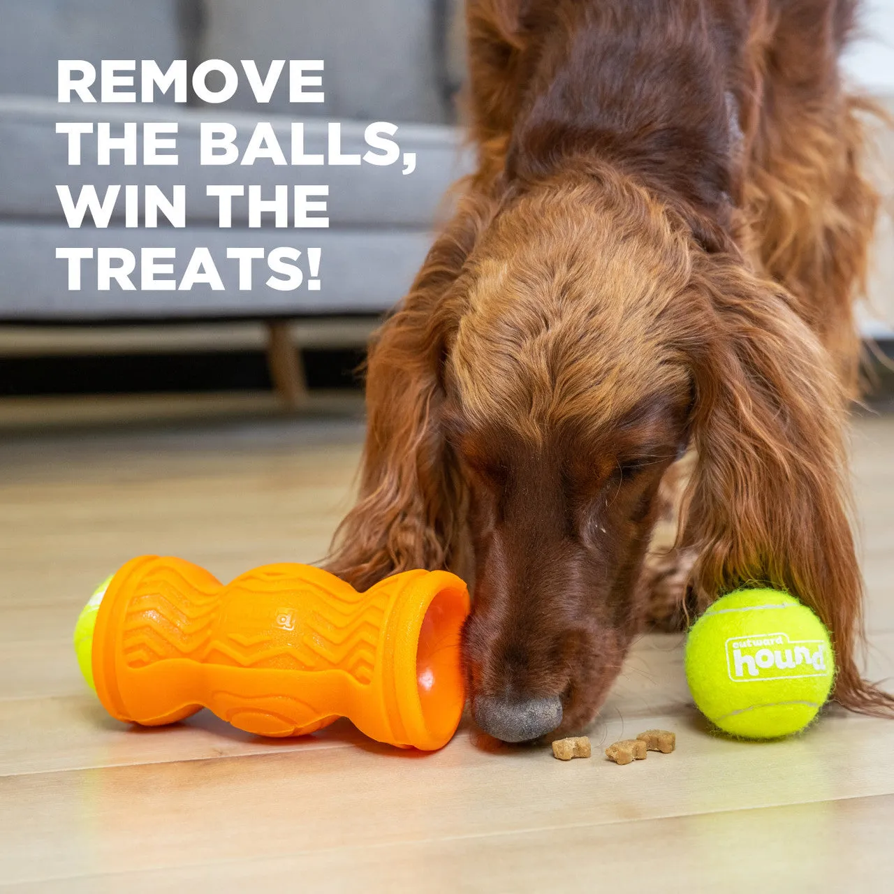 Outward Hound Tennis & Treat Toy