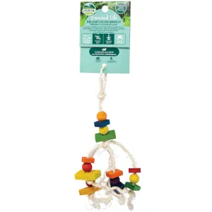 Oxbow Animal Health Enriched Life Deluxe Color Dangly Small Animal Toy