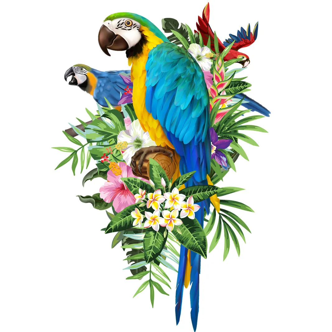 Puzzlemaster A4 Wood Display Puzzle, Macaws