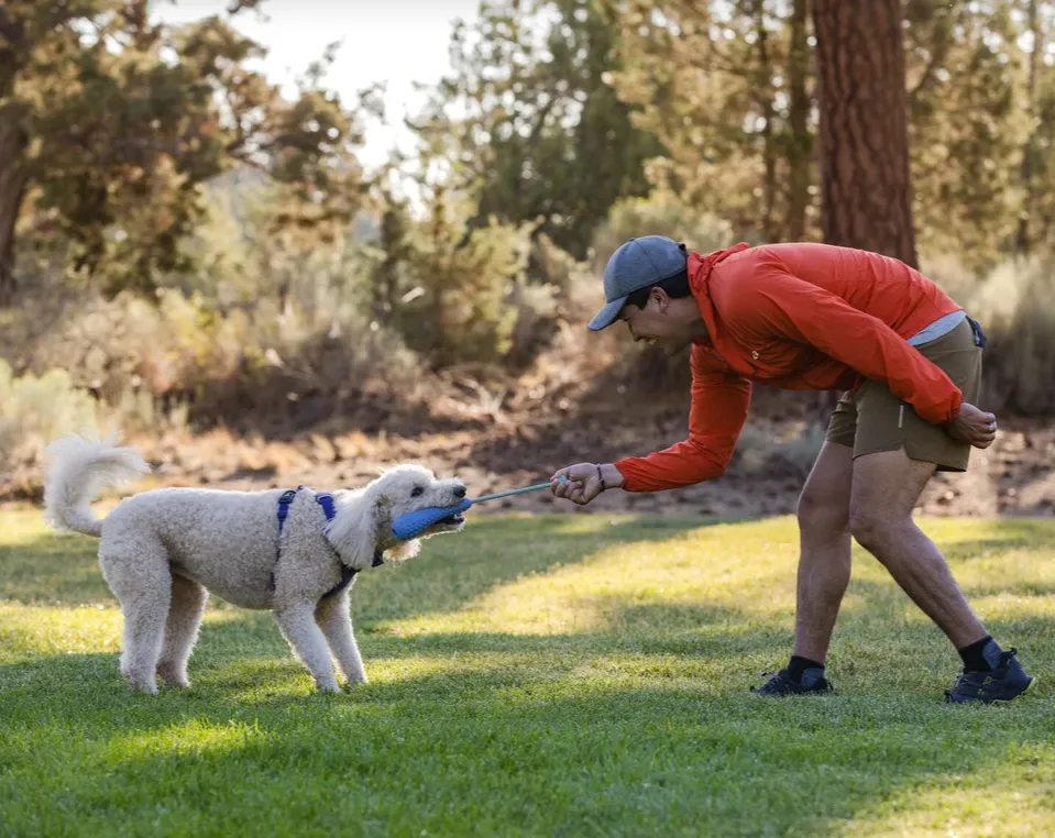 Ruffwear Gourdo Sage Green