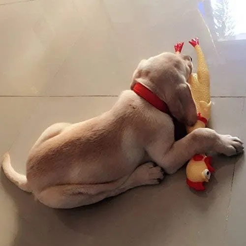 Screaming Chicken Chew Toy for Dogs - Rubber Chicken - 40cm