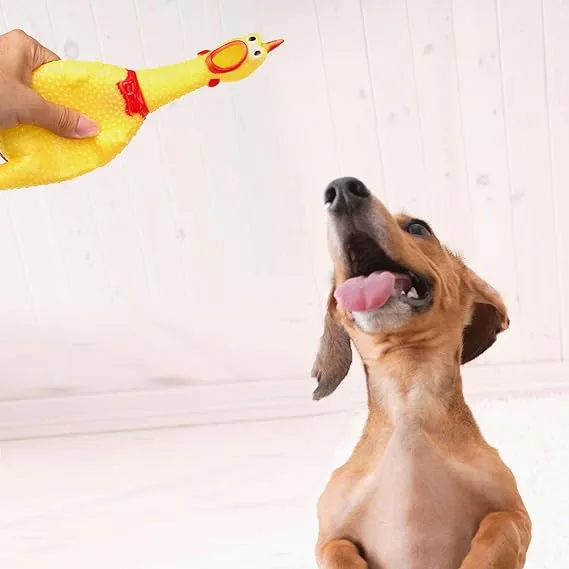 Screaming Chicken Chew Toy for Dogs - Rubber Chicken - 40cm