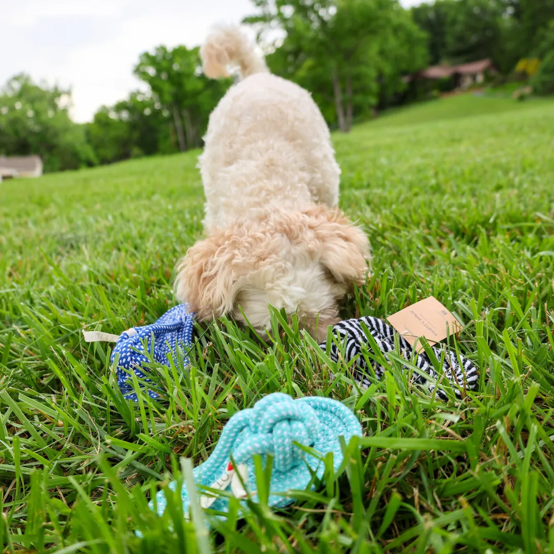 Slipper Rope Toys