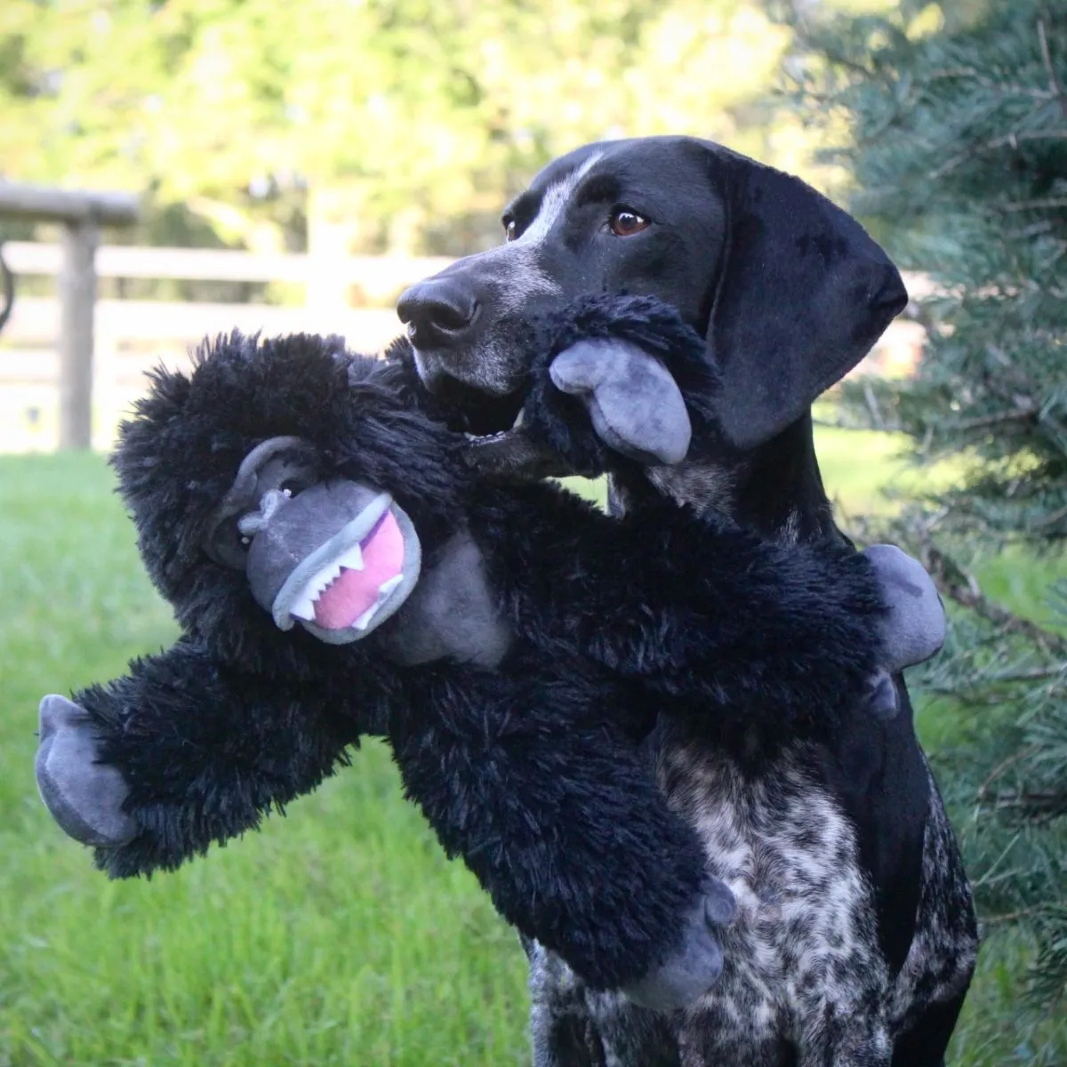 Tall Tails Rope Body Dog Toys